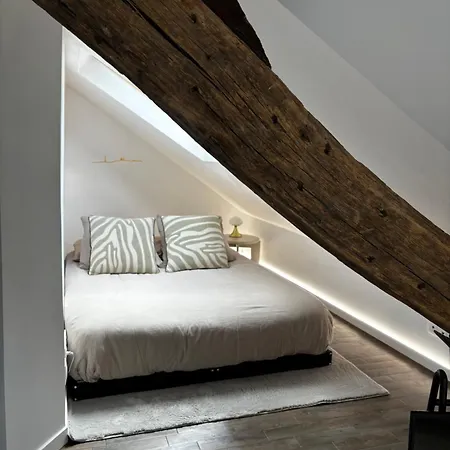 Appartamento Ravissant Parisien *